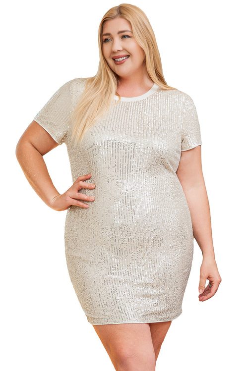 Sparkling Blush Plus Size Sequin Dress