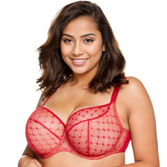 Euphoria Sheer Love 3-Part Mesh Bra