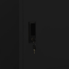 Regal Black Steel Wardrobe: Elegance Redefined