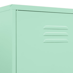 Mint Steel Wardrobe: Opulent Storage Elegance