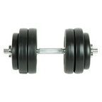 vidaXL 33.1 lb Regal Dumbbell Set