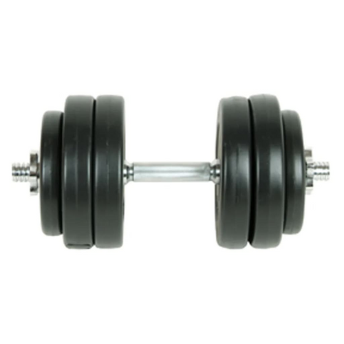 vidaXL 33.1 lb Regal Dumbbell Set