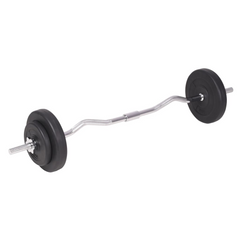 vidaXL 198.4 lb Barbell: Fitness's Noble Companion