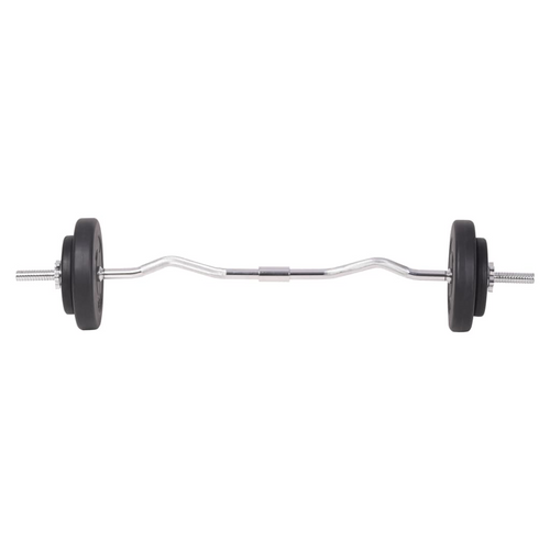 vidaXL 198.4 lb Barbell: Fitness's Noble Companion