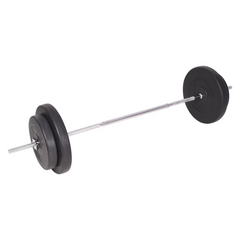 vidaXL 198.4 lb Barbell: Fitness's Noble Companion