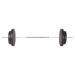 vidaXL 198.4 lb Barbell: Fitness's Noble Companion