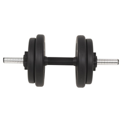 The Regal 132.3 lb Barbell & Dumbbell Set