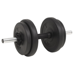 The Regal 132.3 lb Barbell & Dumbbell Set