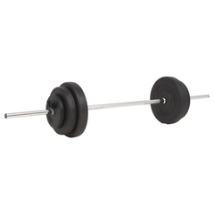 vidaXL Ultimate Home Gym Barbell Set: A Masterpiece