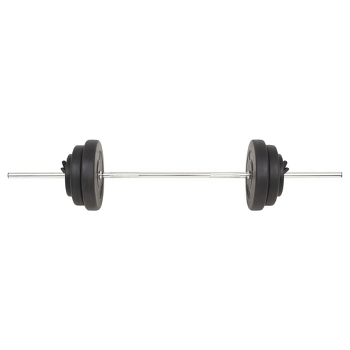 vidaXL Ultimate Home Gym Barbell Set: A Masterpiece