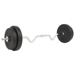 vidaXL Barbell Set: A Luxurious Strength Ensemble