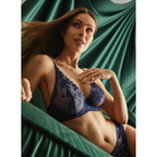 Luxurious Sheer Navy Blue Plunge Bra