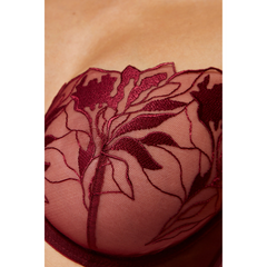 Burgundy Sheer Demi Bra: Embrace Sensual Charm