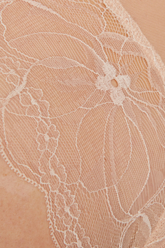 Princess Brilliance Lace: Enchantment in Beige