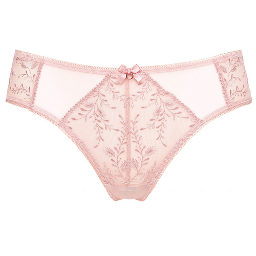 Dreamy Pink Sheer Mesh Bikini Panty 💕