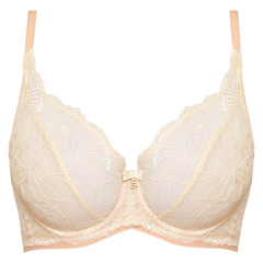 Anabelle Sheer Lace Plunge Underwire Bra