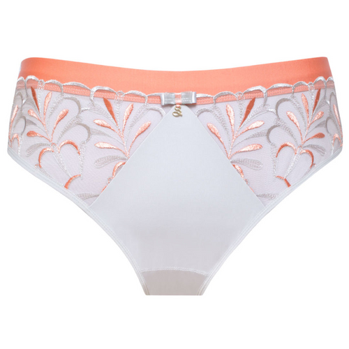 Samanta Lingerie Luxe Embroidered Sheer Brief Panty