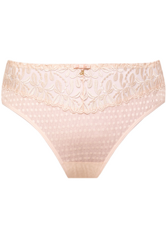 Donna Sheer Mesh Embroidered Brief: Luxe Elegance