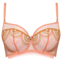 Regal Charm: Sheer Mesh Bra for Queens