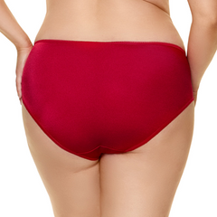 Sierra Ruby Red Low Rise Bikini Panty