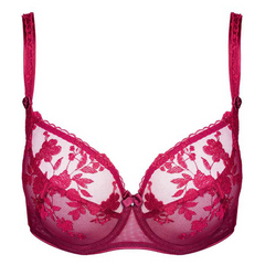 Tango Ruby Red Sheer Mesh Underwire Bra