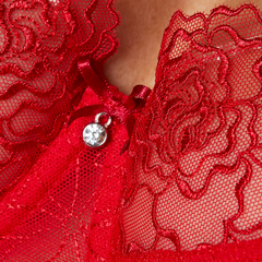 Scarlet Goddess Sheer Mesh Balconette Bra 🌹: Enchanting Elegance