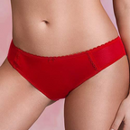 Stefi L Crimson Blaze Sheer Back Panty