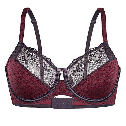 Sassa Mode Daily Event Luxury Sheer Full Figure Bra