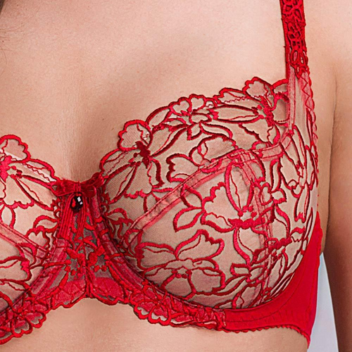 Crimson Red Hot Bra Luxe: Set Souls Ablaze.