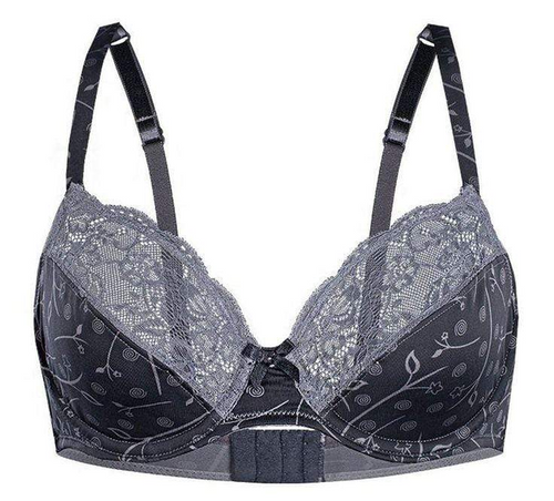 Sassa Silver Blossom Luxe Semi-Sheer Full Figure Bra