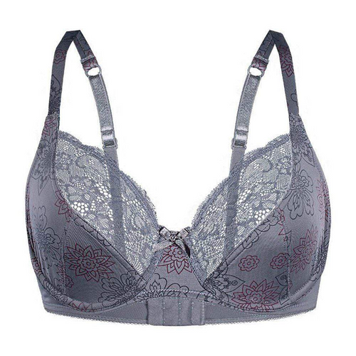 Sassa Elegance Floral Lace Demi Bra in Platinum Gray