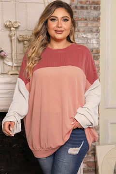 Ethereal Romance Plus Size Colour Block Top