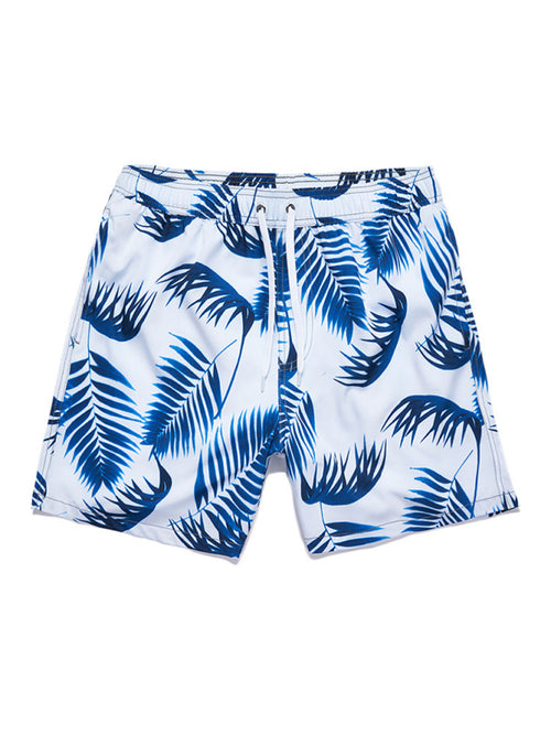 Seaside Warrior Shorts: A Bold Adventure Begs