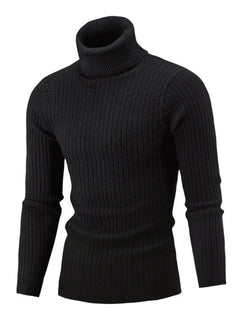 The Noble Turtleneck: Timeless elegance in knit.