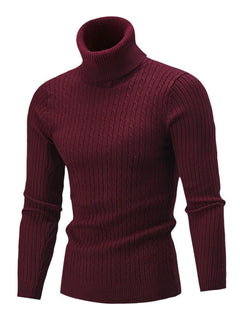 The Noble Turtleneck: Timeless elegance in knit.