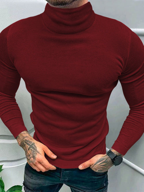 Luxuriant Men's Solid Turtleneck: Elegance in Warmth