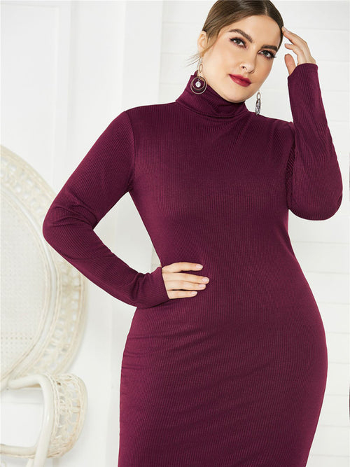 Women's Plus Size Solid Color Knit Turtleneck Long Sleeve Dress