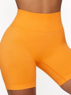 Seamless Knit High Waist Yoga Shorts